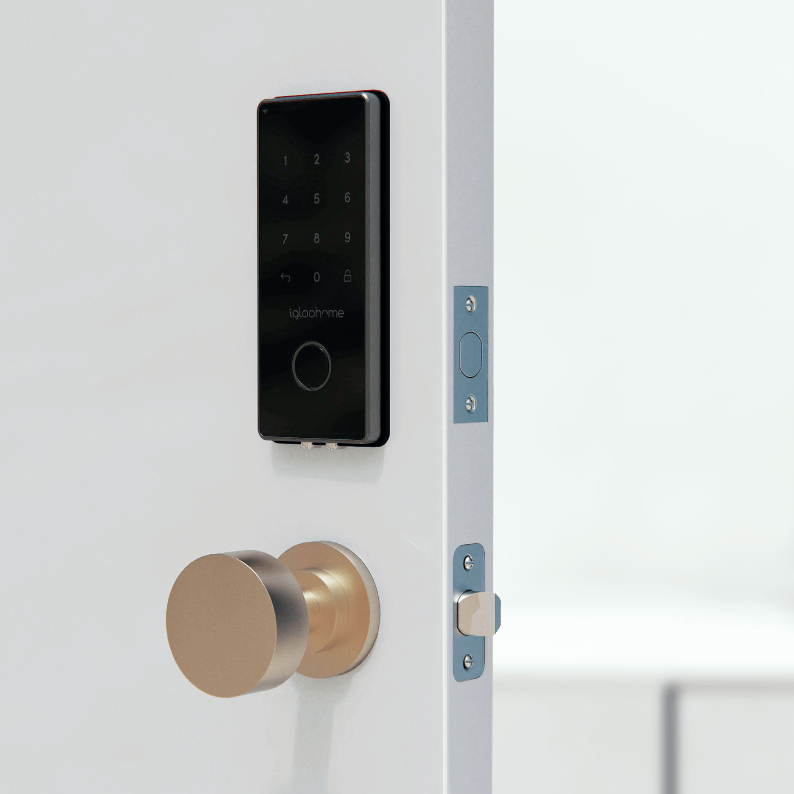 igloohome