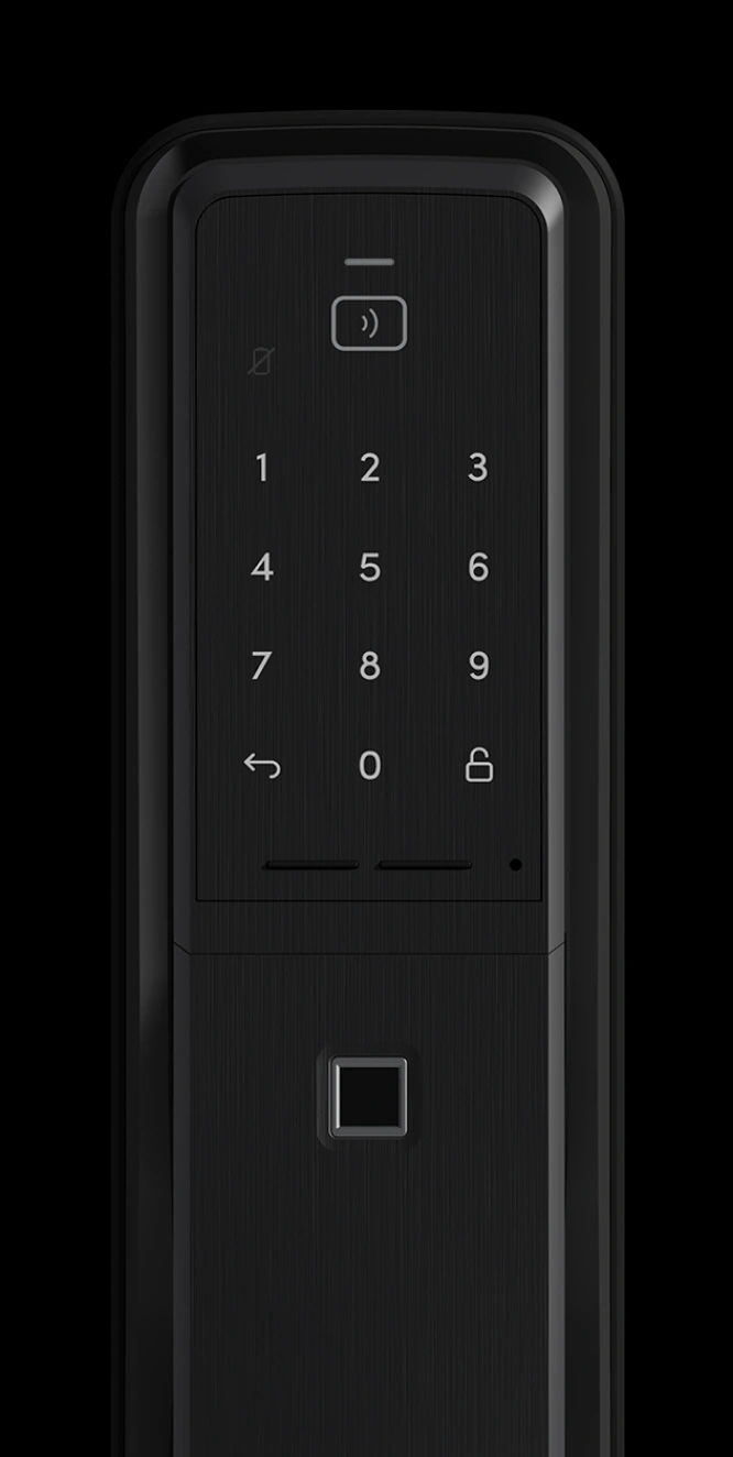 Push Pull digital lock