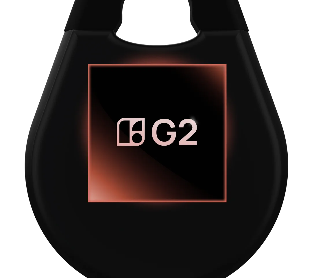 igloo G2 chip