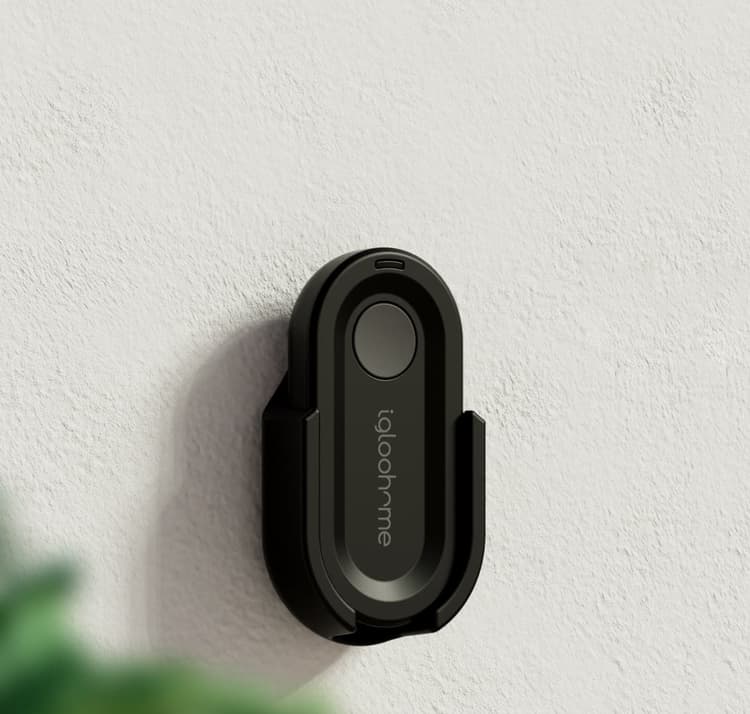 igloohome Smart Locks & Lock Boxes Keyless access solutions igloohome