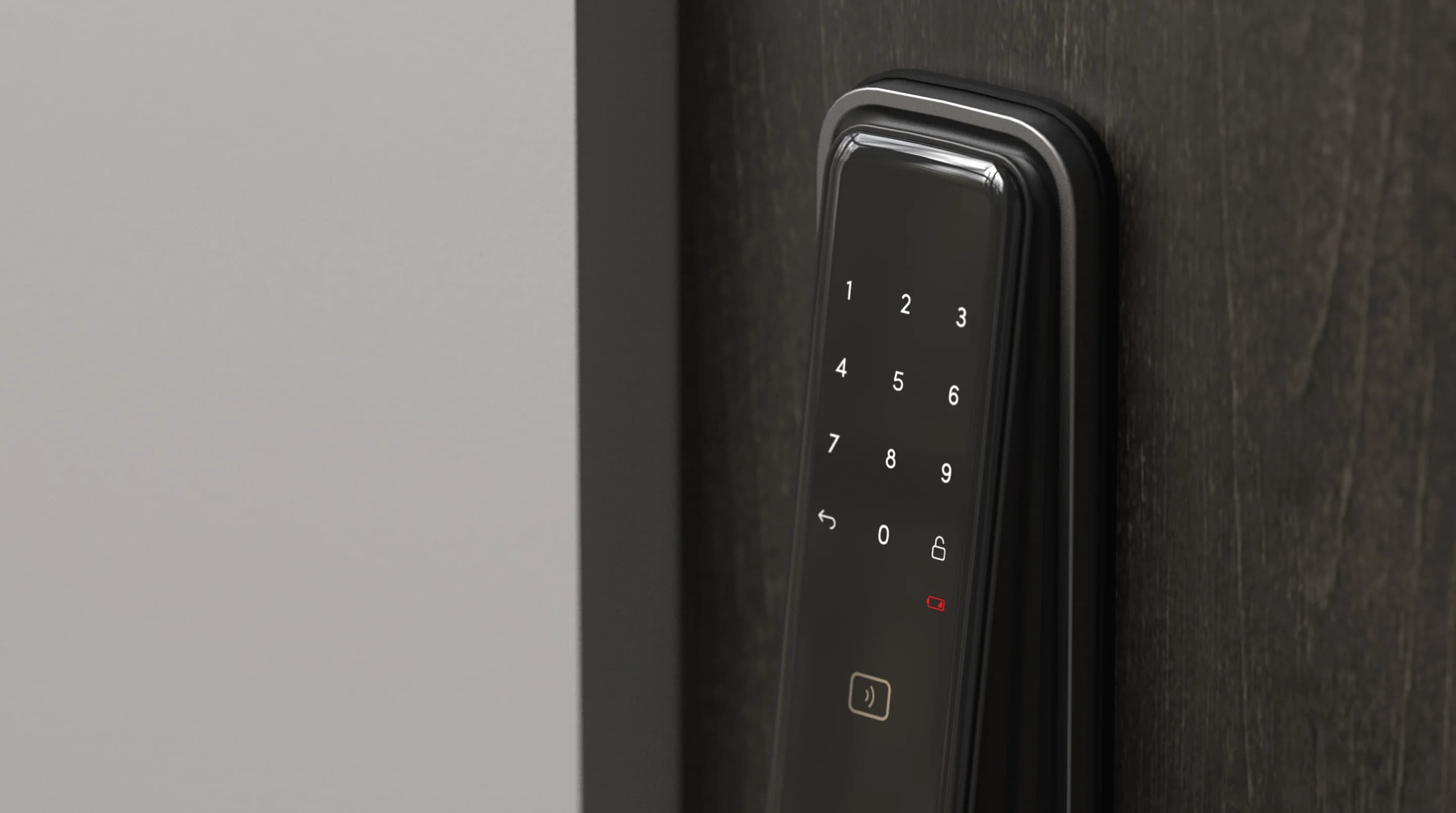 igloohome Mortise Touch smart lock PIN access