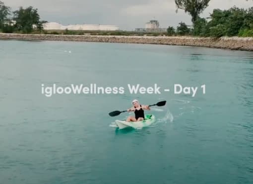 iglooWellness