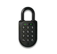 Padlock 2